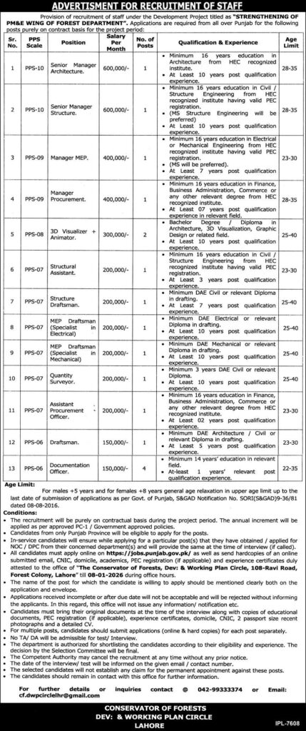 Forest Department Punjab PM&E Wing Jobs 2026 