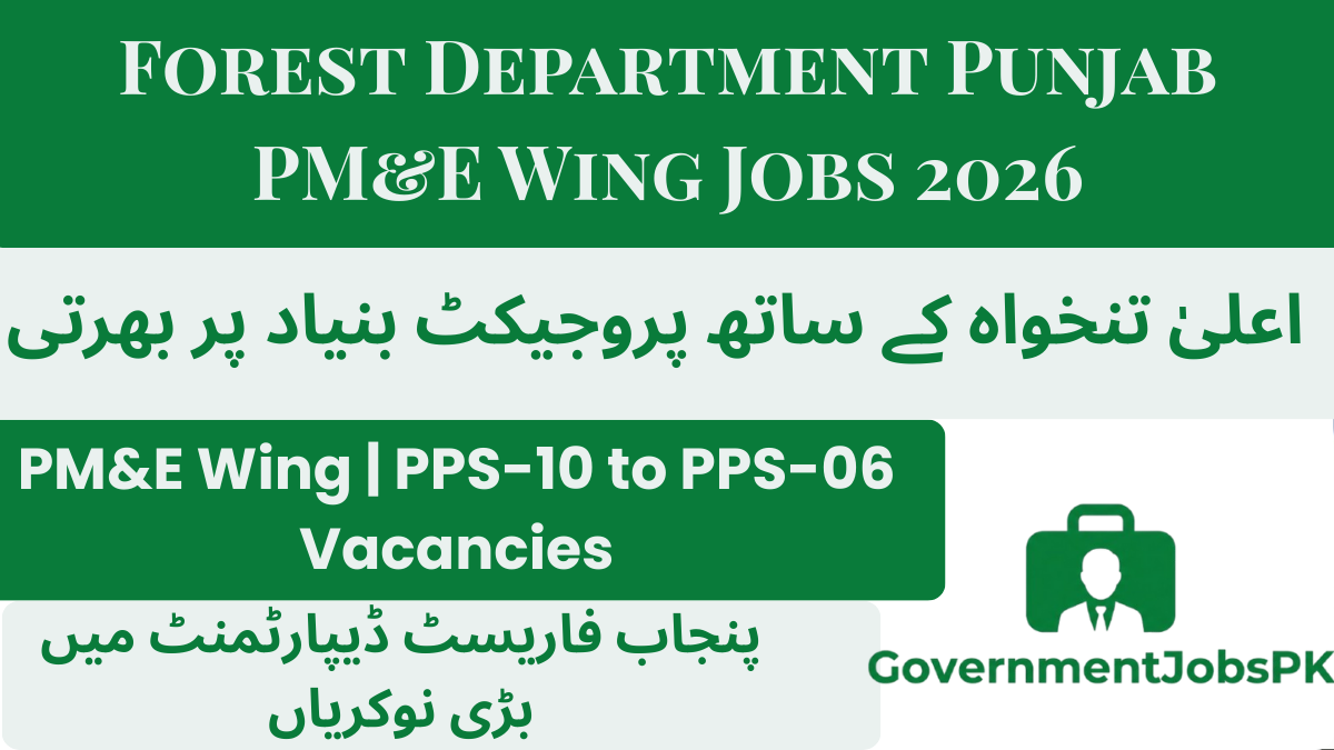 Forest Department Punjab PM&E Wing Jobs 2026